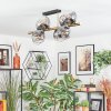 Ripoll Plafondlamp, Kogellampje Goud, Zwart, 8-lichts
