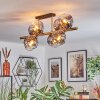 Ripoll Plafondlamp, Kogellampje Goud, Zwart, 8-lichts