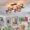 Ripoll Plafondlamp, Kogellampje Goud, Zwart, 8-lichts