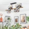 Ripoll Plafondlamp, Kogellampje Goud, Zwart, 8-lichts