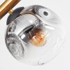 Ripoll Plafondlamp, Kogellampje Goud, Zwart, 8-lichts