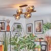 Ripoll Plafondlamp, Kogellampje Goud, Zwart, 8-lichts
