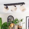 Bassagoda Plafondlamp, Plafondspot Zwart, 3-lichts