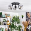 Ripoll Plafondlamp, Kogellampje Chroom, Duidelijk, Rookkleurig, 3-lichts