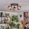 Ripoll Plafondlamp, Kogellampje Chroom, Duidelijk, Rookkleurig, 3-lichts