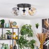 Ripoll Plafondlamp, Kogellampje Amber, Duidelijk, Rookkleurig, 3-lichts