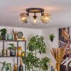 Ripoll Plafondlamp, Kogellampje Amber, Duidelijk, Rookkleurig, 3-lichts