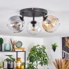 Ripoll Plafondlamp, Kogellampje Amber, Duidelijk, Rookkleurig, 3-lichts