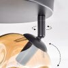 Ripoll Plafondlamp, Kogellampje Amber, Duidelijk, Rookkleurig, 3-lichts