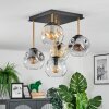 Ripoll Plafondlamp, Kogellampje Goud, Zwart, 5-lichts