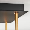 Ripoll Plafondlamp, Kogellampje Goud, Zwart, 5-lichts