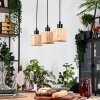 Cavaca Hanglamp, Hanglamp Natuurlijke kleuren, Zwart, 3-lichts