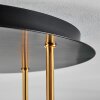 Koyoto Plafondlamp, Kogellampje 45 cm Messing, Zwart, 5-lichts