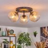 Koyoto Plafondlamp, Kogellampje Amber, Duidelijk, 3-lichts