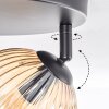 Koyoto Plafondlamp, Kogellampje Amber, Duidelijk, 3-lichts