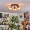 Koyoto Plafondlamp, Kogellampje Amber, Duidelijk, 3-lichts