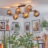 Ripoll Plafondlamp, Kogellampje Goud, Zwart, 10-lichts
