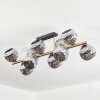 Ripoll Plafondlamp, Kogellampje Goud, Zwart, 10-lichts