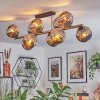 Ripoll Plafondlamp, Kogellampje Goud, Zwart, 10-lichts
