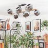 Ripoll Plafondlamp, Kogellampje Goud, Zwart, 10-lichts