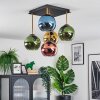 Koyoto Plafondlamp, Kogellampje Goud, Zwart, 5-lichts