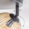 Ripoll Plafondlamp, Kogellampje Amber, Duidelijk, 3-lichts
