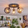 Koyoto Plafondlamp, Kogellampje Amber, Duidelijk, Rookkleurig, 3-lichts