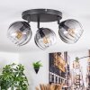 Koyoto Plafondlamp, Kogellampje Duidelijk, Rookkleurig, 3-lichts