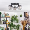 Koyoto Plafondlamp, Kogellampje Duidelijk, Rookkleurig, 3-lichts