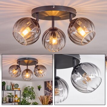 Koyoto Plafondlamp, Kogellampje Duidelijk, Rookkleurig, 3-lichts