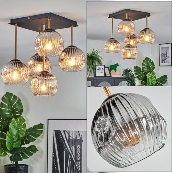 Ripoll Plafondlamp, Kogellampje Goud, Zwart, 5-lichts