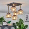 Ripoll Plafondlamp, Kogellampje Goud, Zwart, 5-lichts