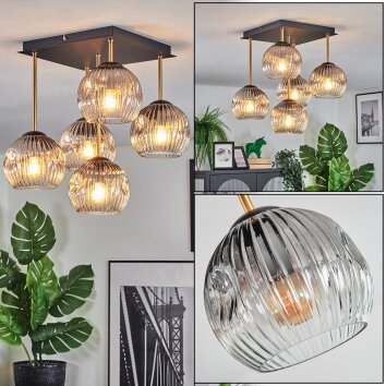 Ripoll Plafondlamp, Kogellampje Goud, Zwart, 5-lichts