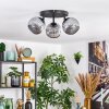 Ripoll Plafondlamp, Kogellampje Rookkleurig, 3-lichts