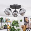 Ripoll Plafondlamp, Kogellampje Rookkleurig, 3-lichts