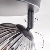 Ripoll Plafondlamp, Kogellampje Rookkleurig, 3-lichts