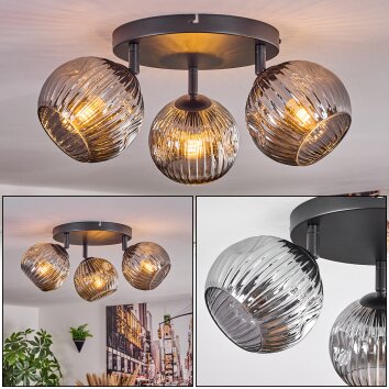 Ripoll Plafondlamp, Kogellampje Rookkleurig, 3-lichts