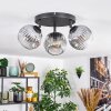 Ripoll Plafondlamp, Kogellampje Duidelijk, Rookkleurig, 3-lichts