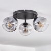 Ripoll Plafondlamp, Kogellampje Duidelijk, Rookkleurig, 3-lichts