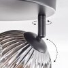 Ripoll Plafondlamp, Kogellampje Chroom, Duidelijk, Rookkleurig, 3-lichts