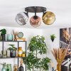 Ripoll Plafondlamp, Kogellampje Chroom, Goud, Duidelijk, Koperkleurig, Rookkleurig, 3-lichts