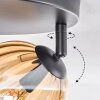Koyoto Plafondlamp, Kogellampje Amber, Duidelijk, Rookkleurig, 3-lichts