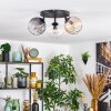 Koyoto Plafondlamp, Kogellampje Amber, Duidelijk, Rookkleurig, 3-lichts