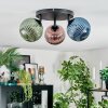 Chehalis Plafondlamp, Kogellampje Blauw, Groen, Koperkleurig, 3-lichts