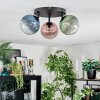 Chehalis Plafondlamp, Kogellampje Blauw, Groen, Duidelijk, Koperkleurig, 3-lichts
