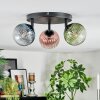 Chehalis Plafondlamp, Kogellampje Blauw, Groen, Duidelijk, Koperkleurig, 3-lichts