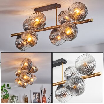 Ripoll Plafondlamp, Kogellampje Goud, Zwart, 8-lichts