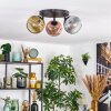 Ripoll Plafondlamp, Kogellampje Goud, Duidelijk, Koperkleurig, Rookkleurig, 3-lichts