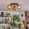 Ripoll Plafondlamp, Kogellampje Goud, Duidelijk, Koperkleurig, Rookkleurig, 3-lichts