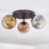 Ripoll Plafondlamp, Kogellampje Goud, Duidelijk, Koperkleurig, Rookkleurig, 3-lichts